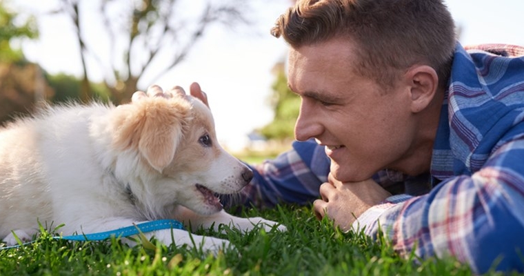 10 cosas que hacen los padres de perros responsables