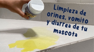 Limpieza de orines, vomito y diarrea de tu mascota