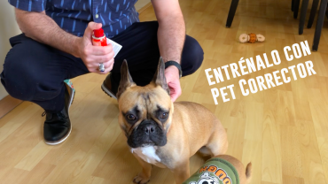 Entrénalo con Pet Corrector
