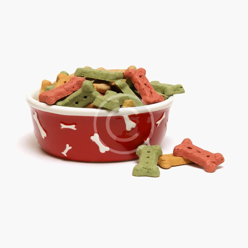 Cat Nested Bed - Imagen 2