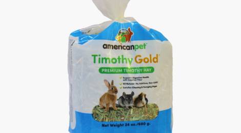 Pasto Timothy Gold American Pet