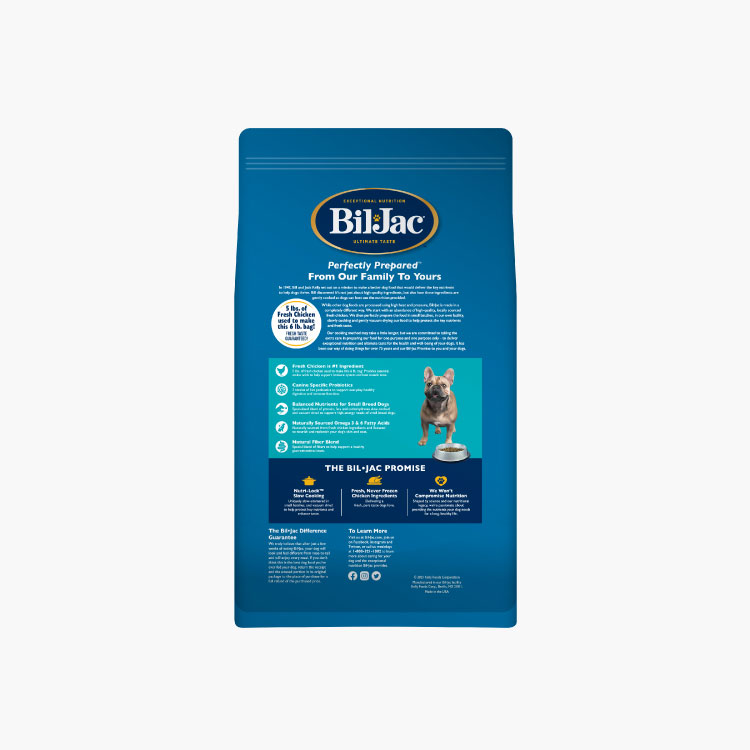 Bil-Jac Adulto de raza pequeña - Imagen 2