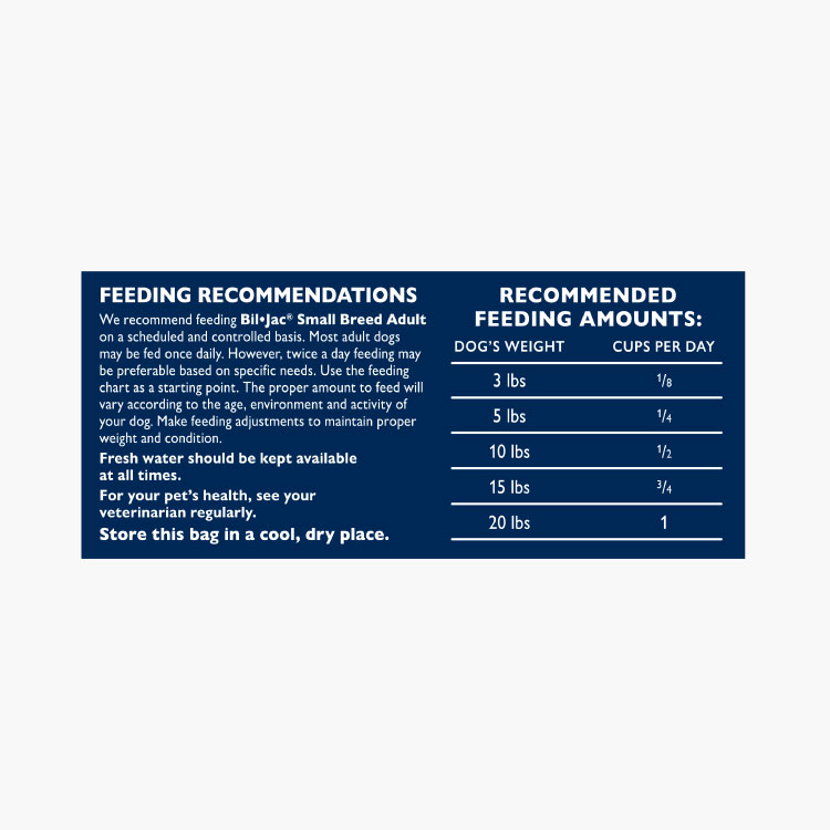 Bil-Jac Adulto de raza pequeña - Imagen 4