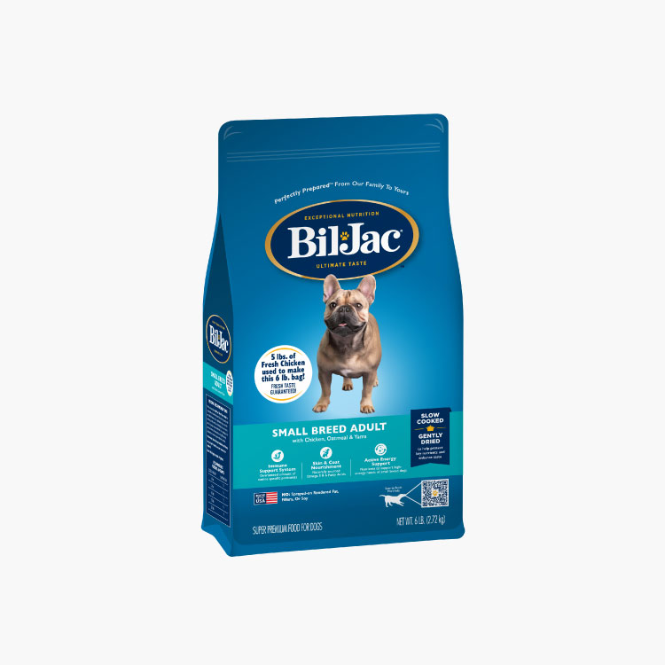 Bil-Jac Adulto de raza pequeña