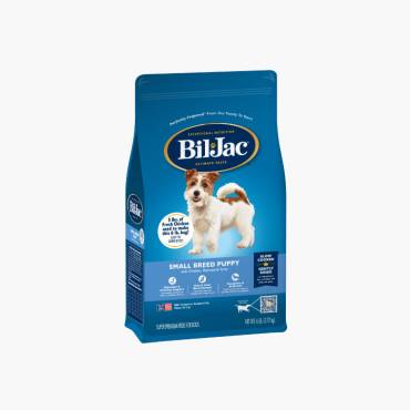 Bil-Jac Cachorro de raza pequeña