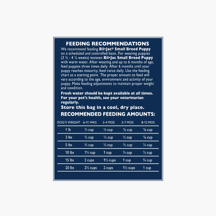 Bil-Jac Cachorro de raza pequeña - Imagen 4