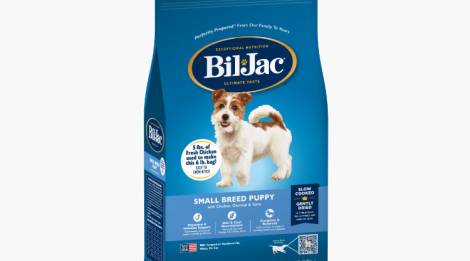 Bil-Jac Cachorro de raza pequeña