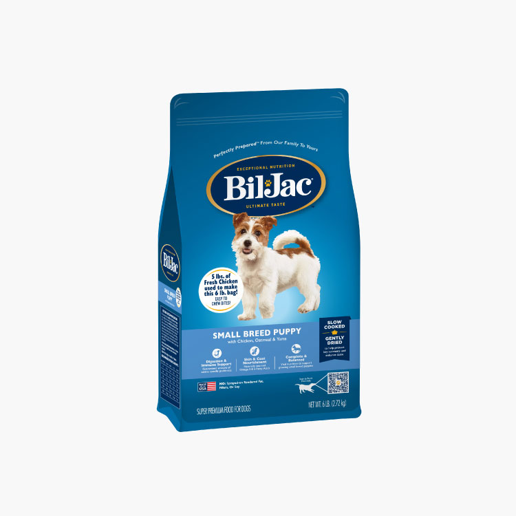 Bil-Jac Cachorro de raza pequeña