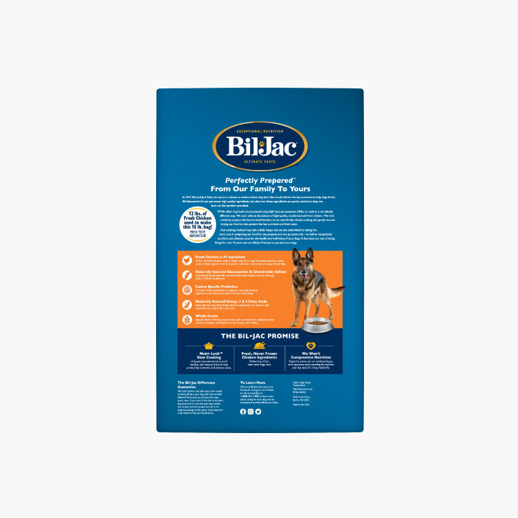 Bil-Jac Adulto de raza grande - Imagen 2