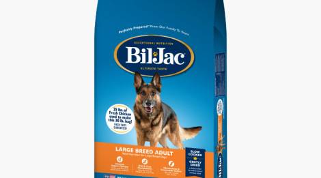 Bil-Jac Adulto de raza grande