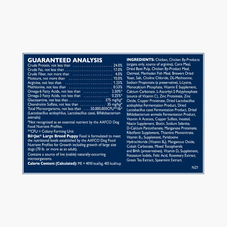 Bil-Jac Cachorro de raza grande - Imagen 3