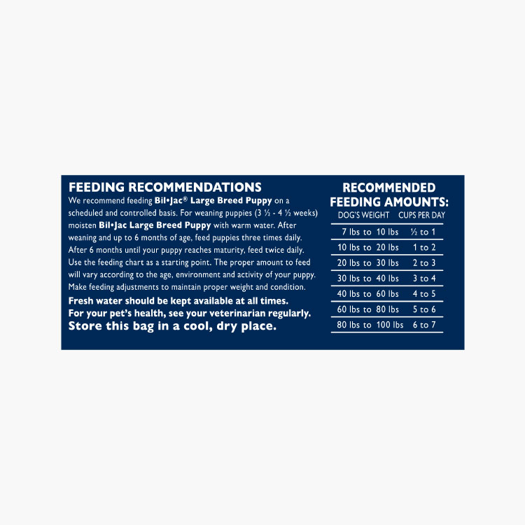 Bil-Jac Cachorro de raza grande - Imagen 4