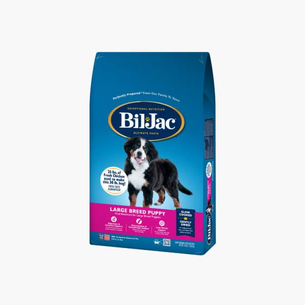 Bil-Jac Cachorro de raza grande