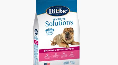 Bil-Jac Soluciones Sensitive para la digestión y el sistema inmunitario