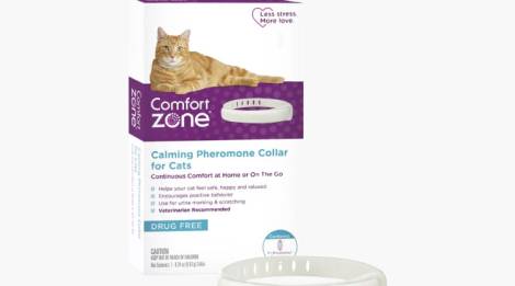 Collar Calmante para Gato Comfort Zone