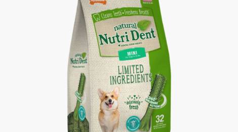 Nutri Dent Premios Dentales Sabor Aliento Fresco para perros Mini