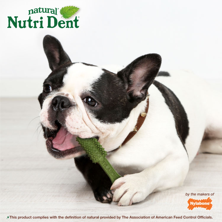 Nutri Dent Premios Dentales Sabor Aliento Fresco para perro Mediano - Imagen 6