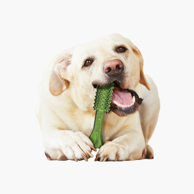 Nutri Dent Premios Dentales Sabor Aliento Fresco para perro Grande - Imagen 5