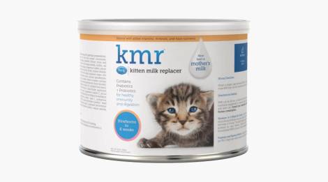 KMR Sustituto de Leche en Polvo para Gatito