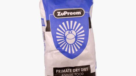 Alimento seco para Primate