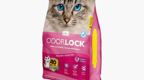 Arena aglutinante de arcilla Odour Lock aroma talco de bebé para gato