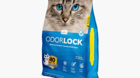 Arena aglutinante de arcilla Odour Lock para gato