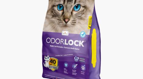 Arena aglutinante de arcilla Odour Lock aroma lavanda para gato