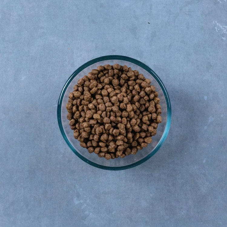 Triumph Free Spirit Gato Salmón Deshuesado y Garbanzos - Imagen 3